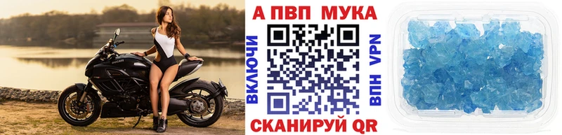 где продают наркотики  Мещовск  Alfa_PVP мука 