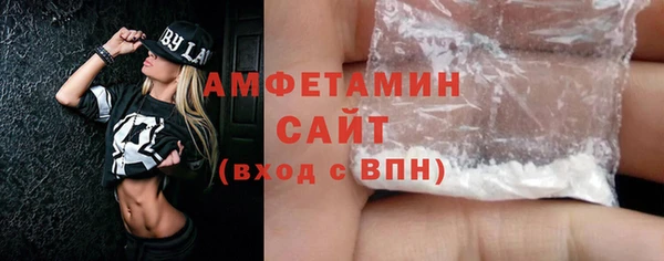 мдпв Инсар