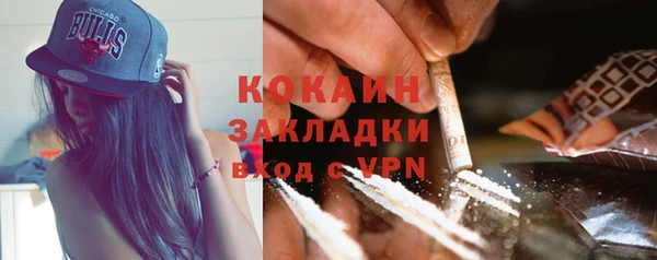 дмт Инта