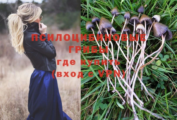 кокаин перу Каменногорск