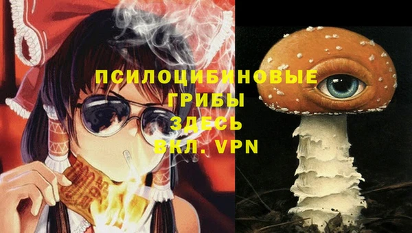 мдпв Инсар