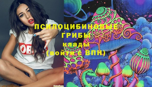 мдпв Инсар