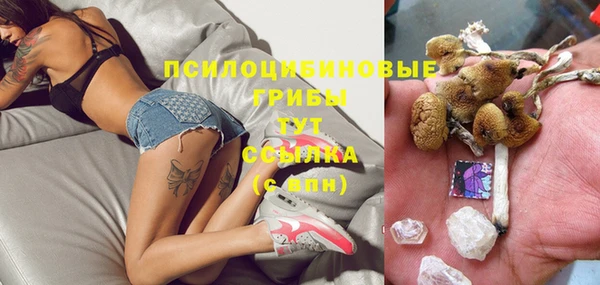 кокаин Каменка