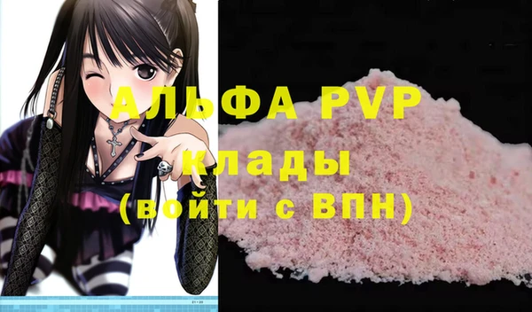 дмт Инта