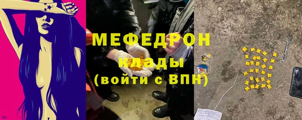 мдпв Инсар