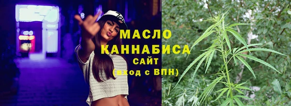 дмт Инта
