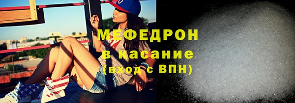 мдпв Инсар