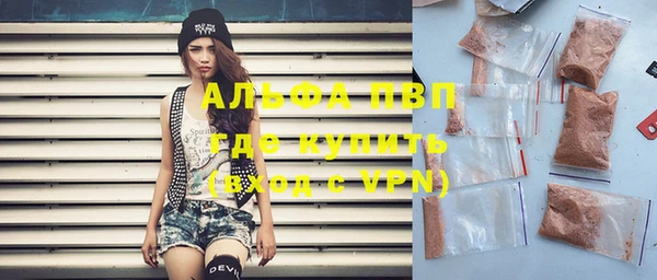 прущие грибы Каменск-Шахтинский