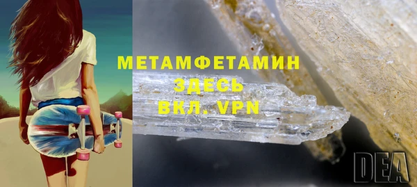 мдпв Инсар