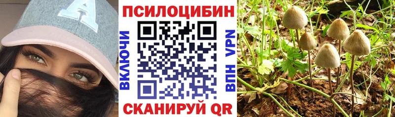 Псилоцибиновые грибы ЛСД  дарк нет наркотические препараты  Мещовск 